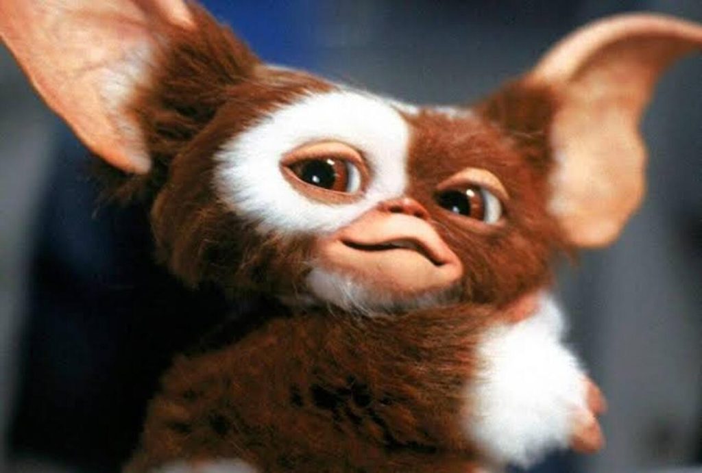 Gremlins 3 Mundur Hampir Setahun! Jadwal Tayang Baru Bikin Penggemar Harus Bersabar